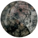 Obsidiana Noche Estrellada